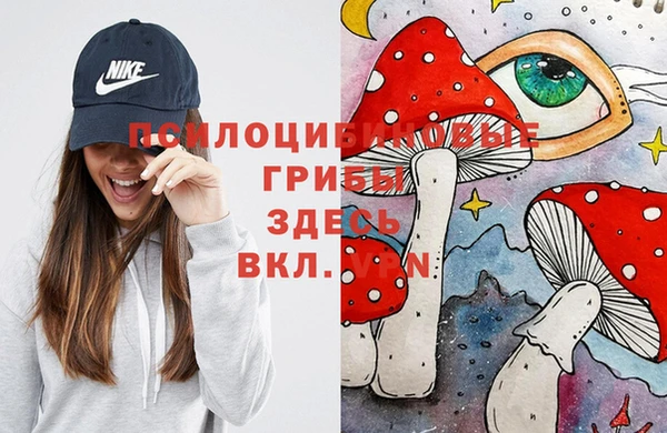 марки nbome Белокуриха