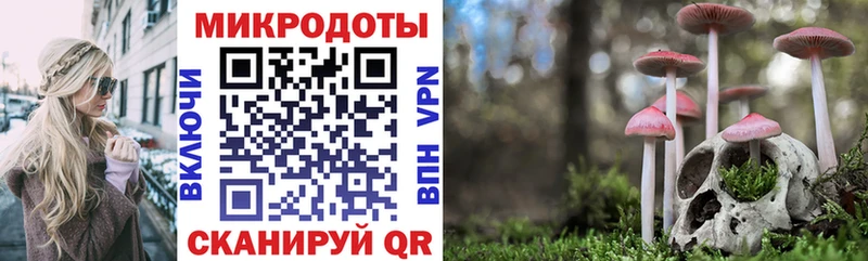 Галлюциногенные грибы прущие грибы  купить закладку  Кстово 
