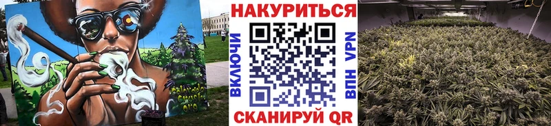 Канабис конопля  Кстово 